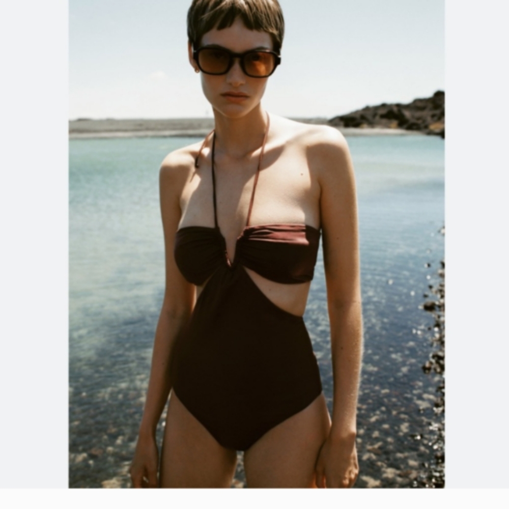 Zara Brown One-Piece Swimsuit with Elegant Design